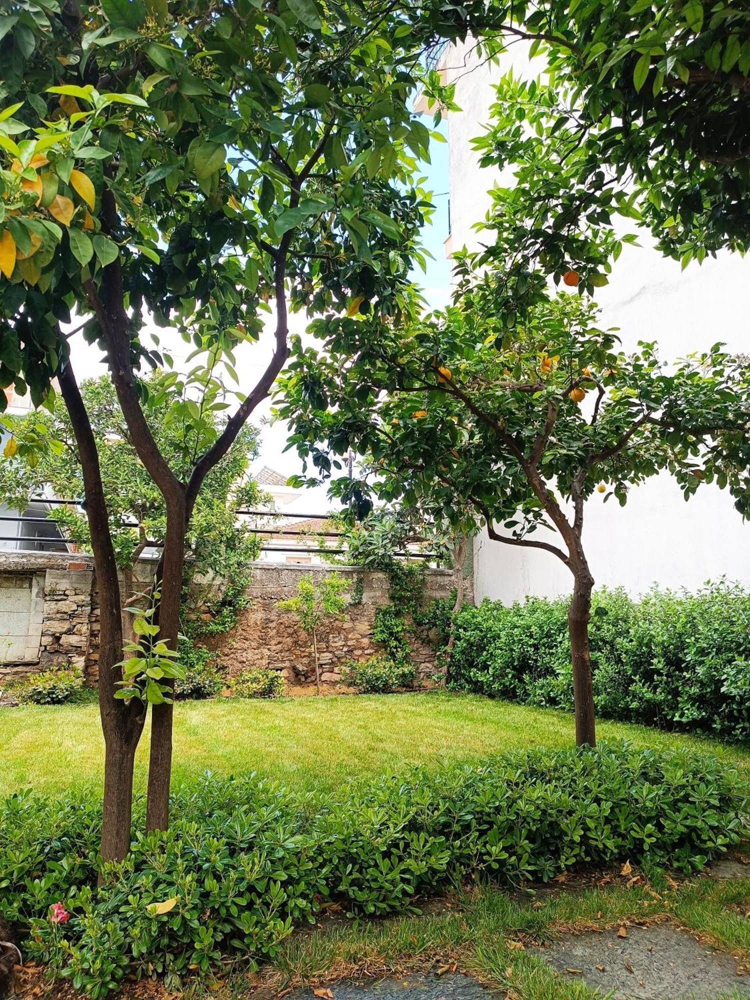 Néa Ankhíalos Betty'S Garden House 빌라 외부 사진