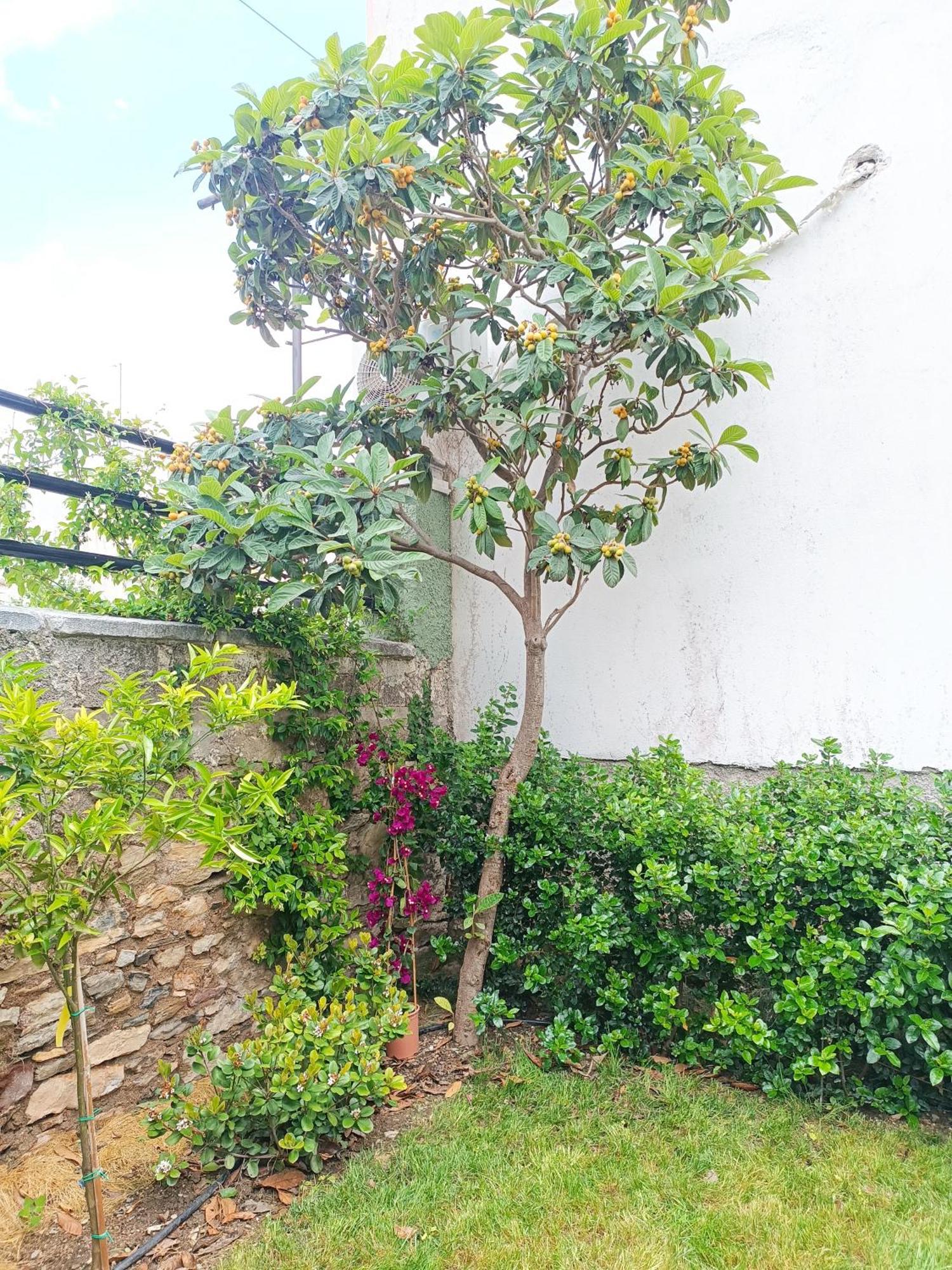 Néa Ankhíalos Betty'S Garden House 빌라 객실 사진