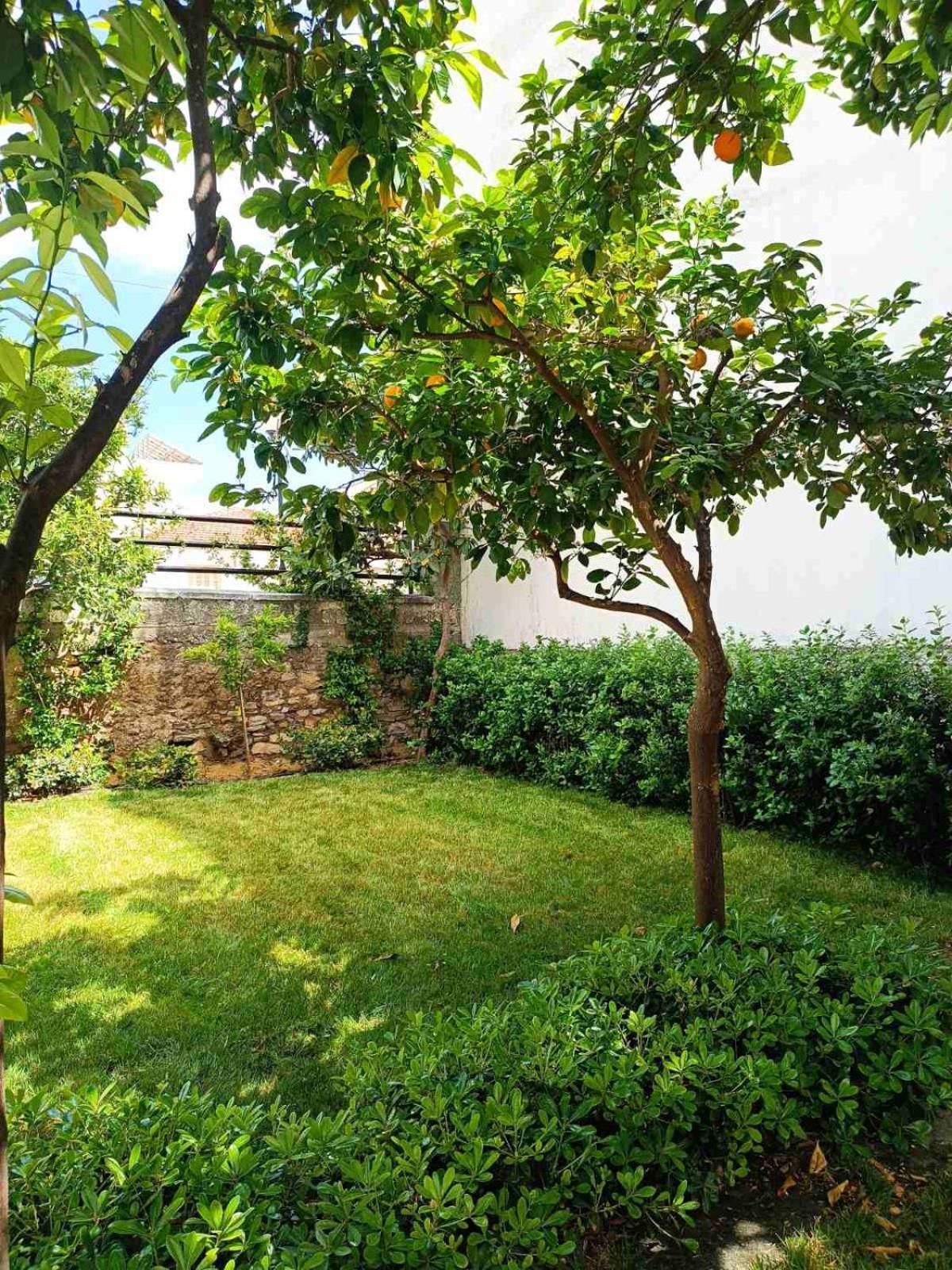 Néa Ankhíalos Betty'S Garden House 빌라 외부 사진