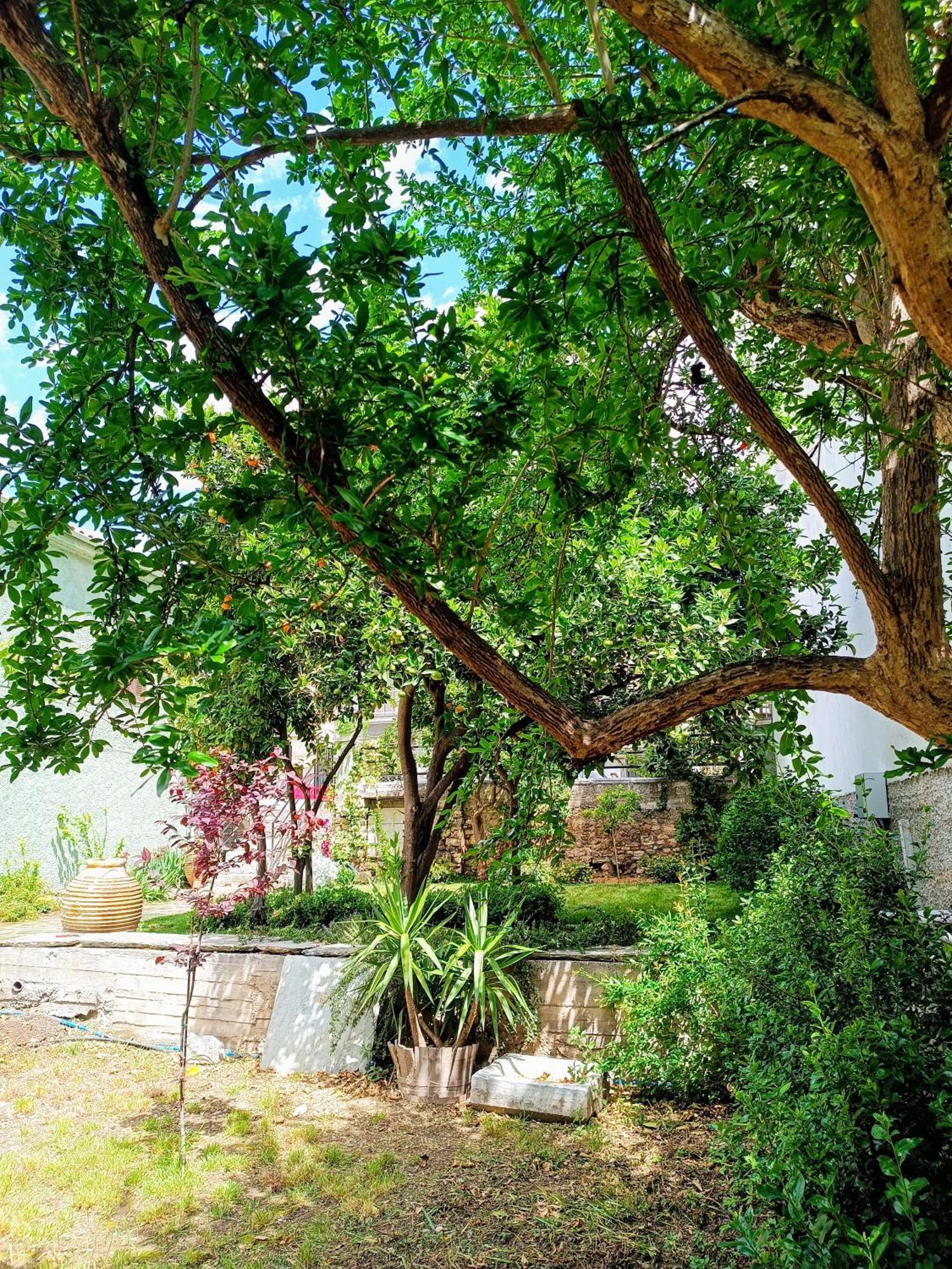 Néa Ankhíalos Betty'S Garden House 빌라 객실 사진